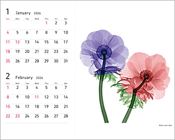 画像：卓上タイプ