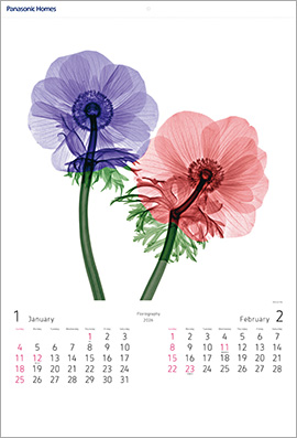 パナソニック ホームズカレンダー　1-2月