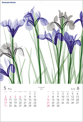 パナソニック ホームズカレンダー　5-6月