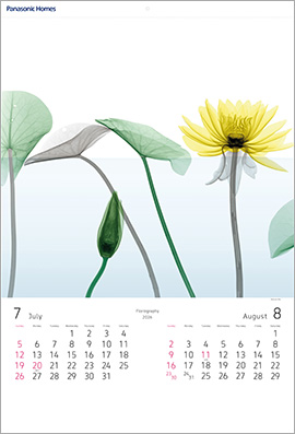 パナソニック ホームズカレンダー　7-8月