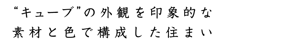 “キューブ”の外観を印象的な素材と色で構成した住まい