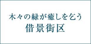 木々の緑が癒しを乞う借景街区