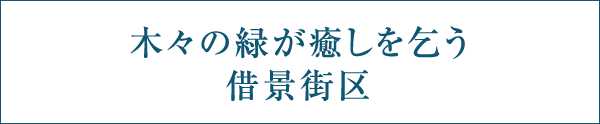 木々の緑が癒しを乞う借景街区