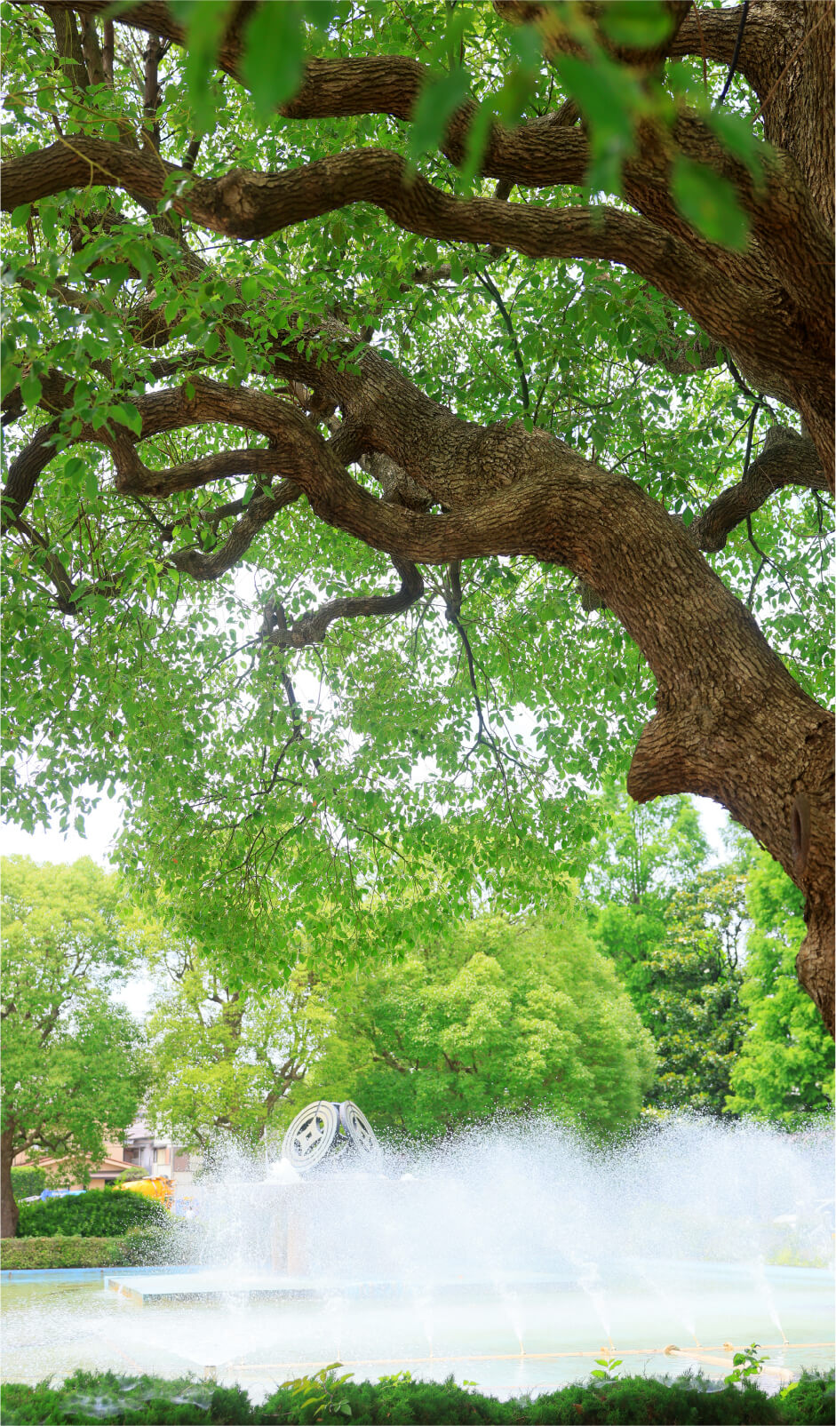 青木町公園総合運動場