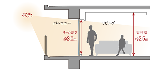 断面概念図