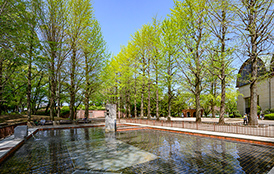 小平市立上水公園