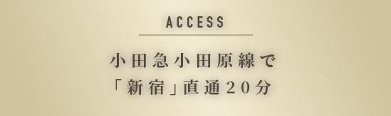 ACCESS