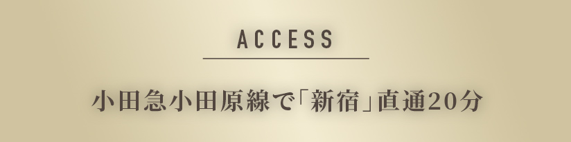 ACCESS