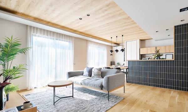 19号地内観写真