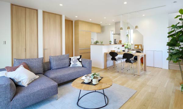 66号地内観写真