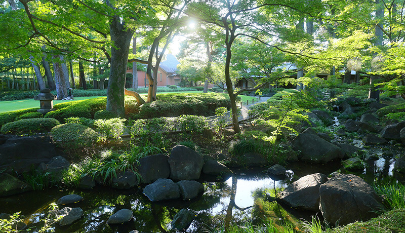 大田黒公園（徒歩22分／約1,720m）