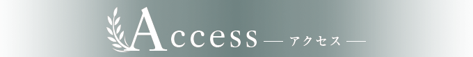 access
