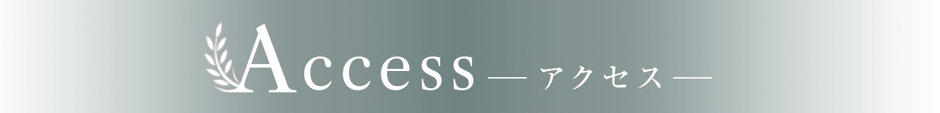 access