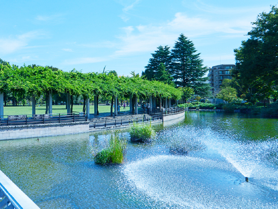 武蔵国分寺公園（約4.0km）※1