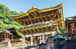 日光