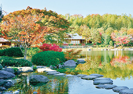 国営昭和記念公園