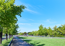 国営昭和記念公園
