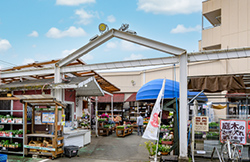 綿半ホームエイド国分寺店