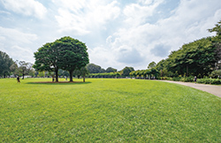 都立武蔵国分寺公園