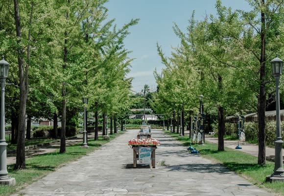 草津市立ロクハ公園2