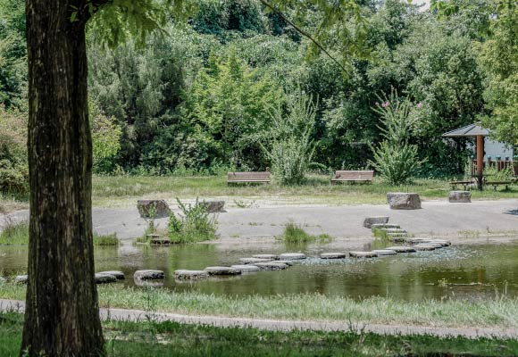 草津市立ロクハ公園3