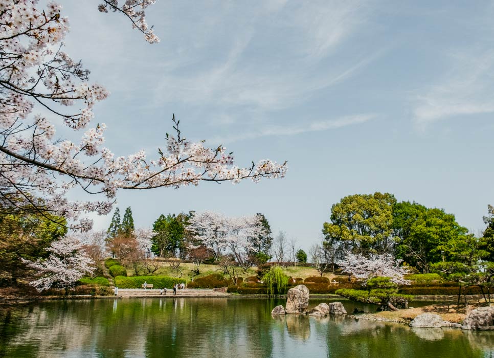 びわこ文化公園写真