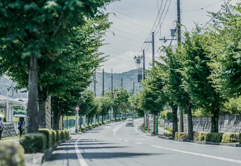 現地周辺街並み3