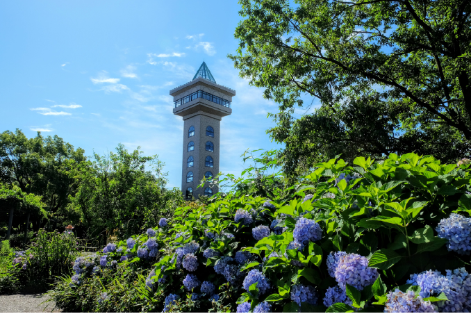 相模原麻溝公園