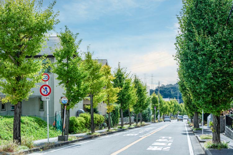 現地周辺街並み写真