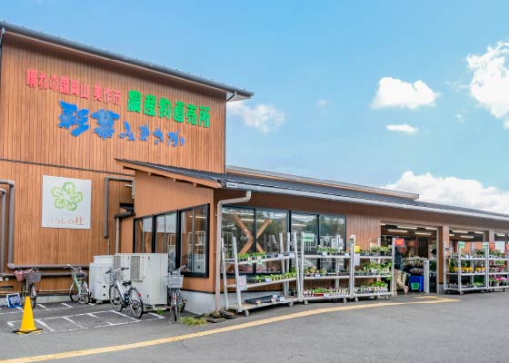 彩菜みまさか写真