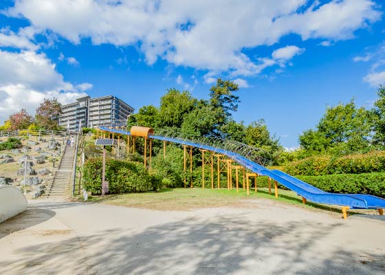 彩都西公園写真
