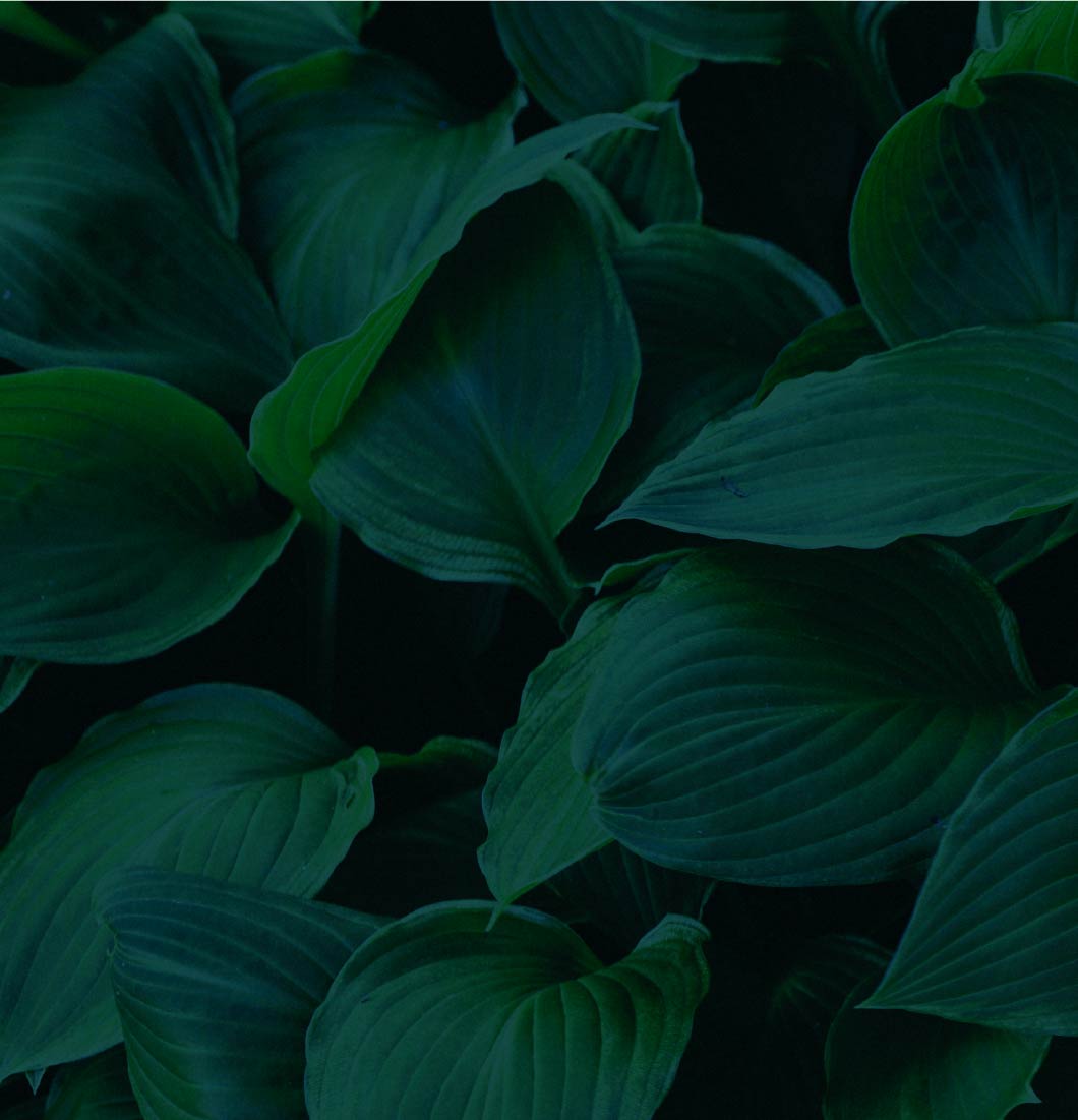 3分でわかる物件の魅力