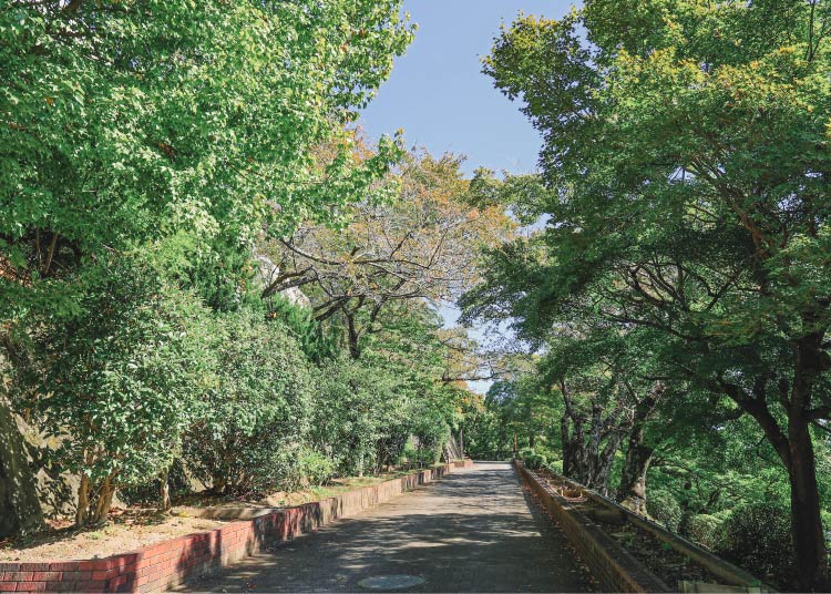 image photo