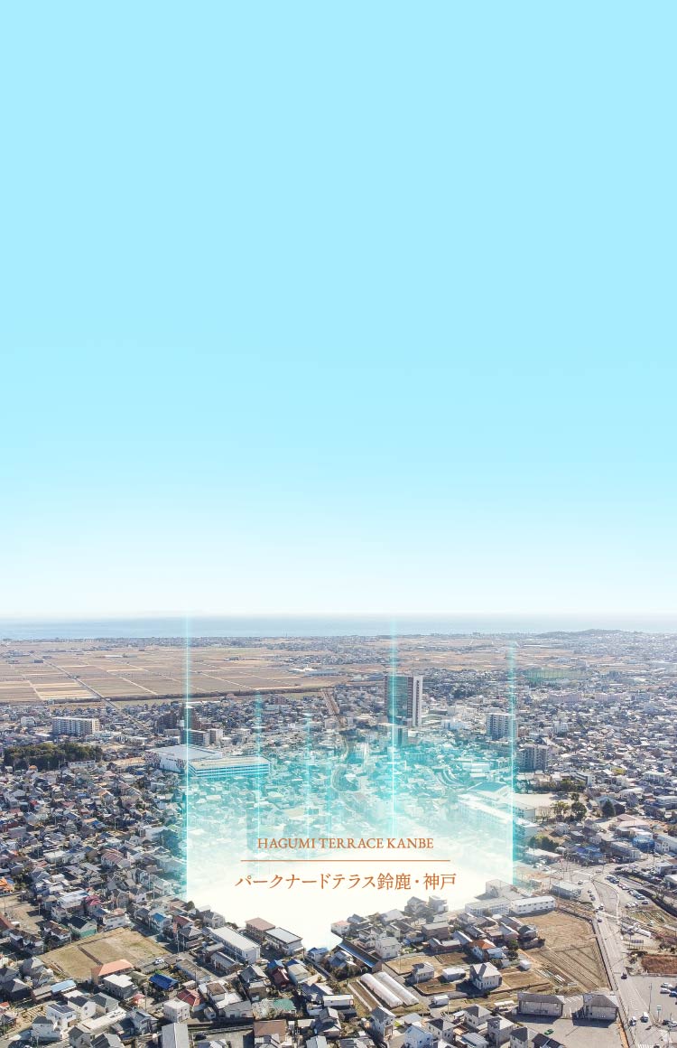 現地周辺航空写真