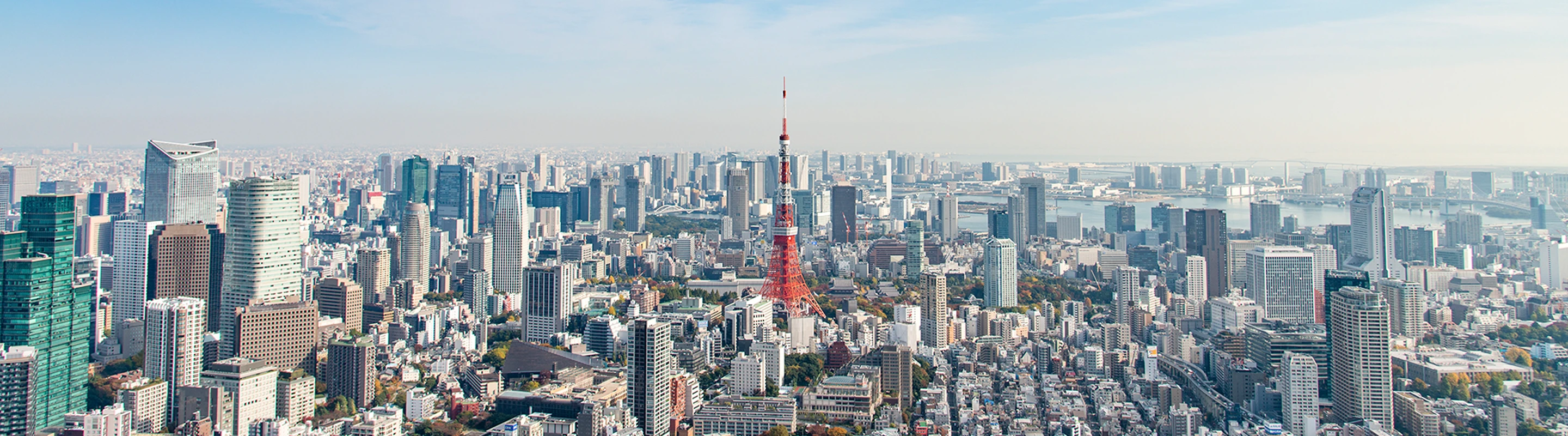 代表挨拶・会社概要