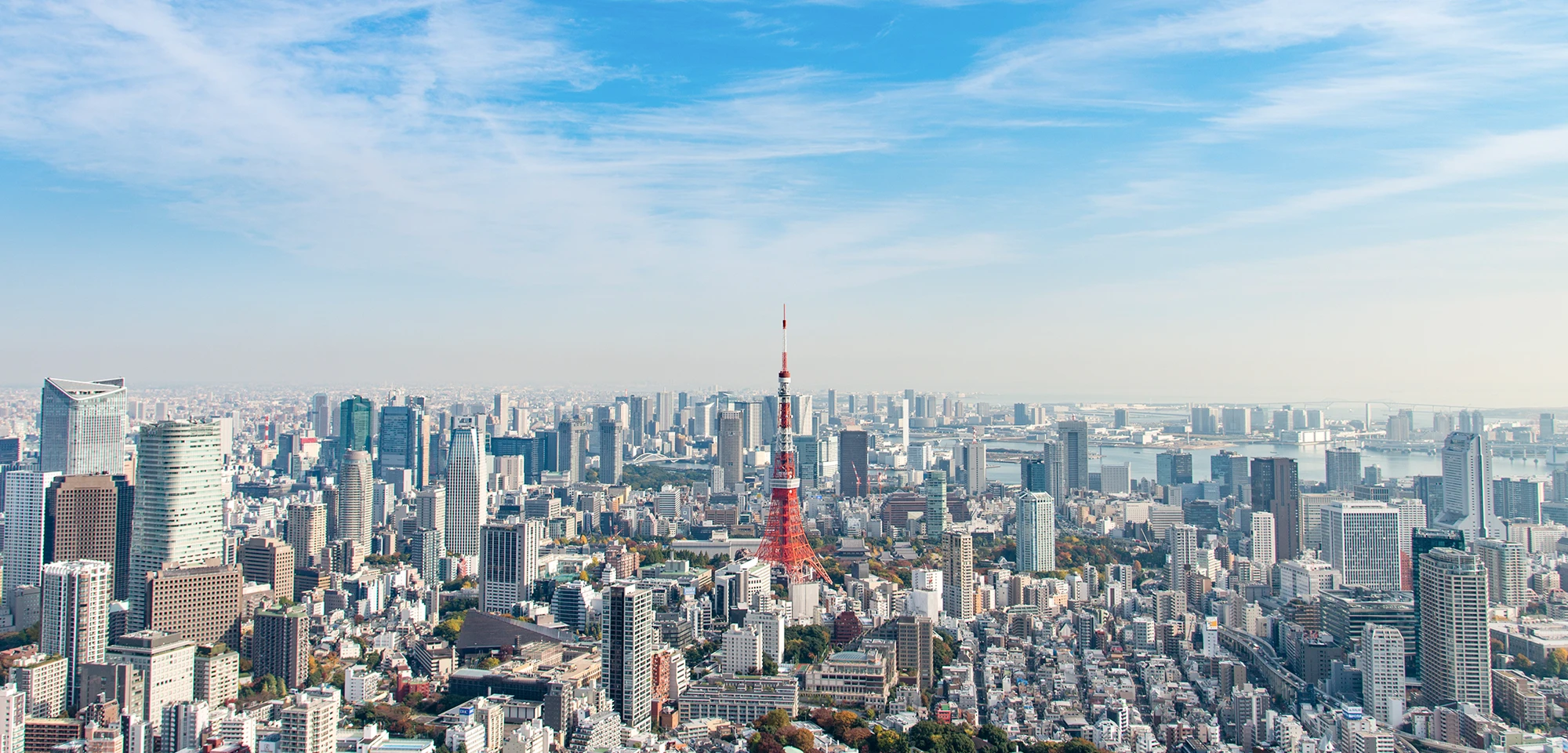 代表挨拶・会社概要