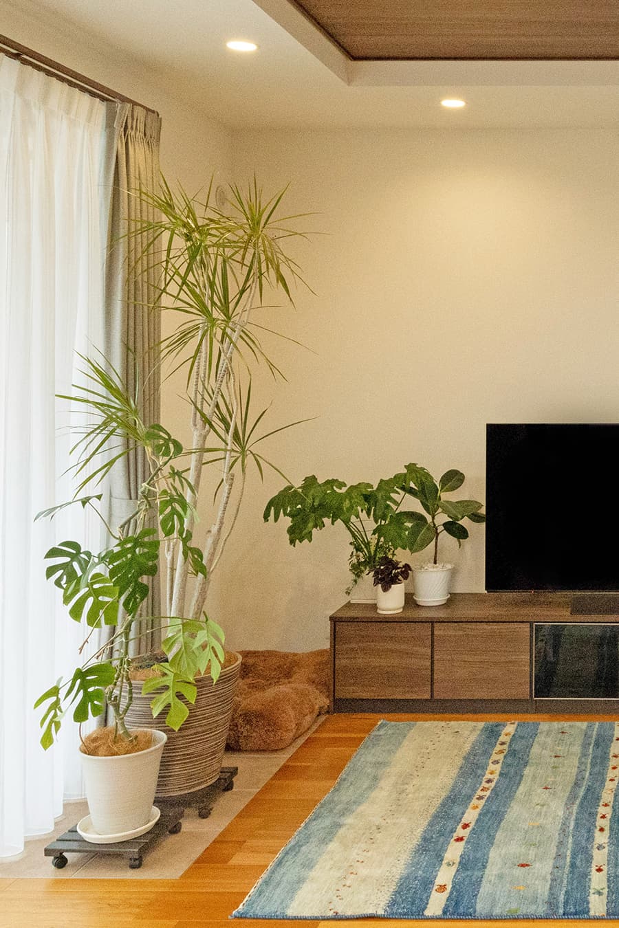 これからの暮らしに寄り添う、想いをつなぐ平屋の住まい