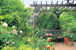 庭：エコニワ-自然とふれあう美しい庭づくり