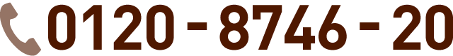 0120-8746-20