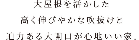 大屋根を活かした高く伸びやかな吹抜けと迫力ある大開口が心地いい家。